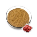 Gou Qi Red Wolfberry Goji Berry in polvere