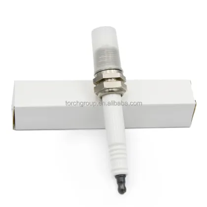 Hot Selling Torch Industrial R1B12-76 Spark Plug - Champion RB76N RB76PP