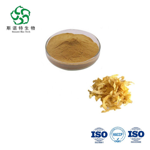 Premium Solomonseal Rhizome Powder for Health