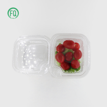 Transparent PET Food Packing Box Safe for Direct Food Contact