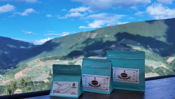 Arabica Medium Roast Washed Coffee Beans