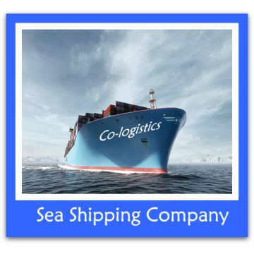 Offer shipping agency services to Boston--Ada skype:colsales10