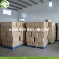 Factory Supply Φρούτα Premium Βιταμίνες Goji Berry