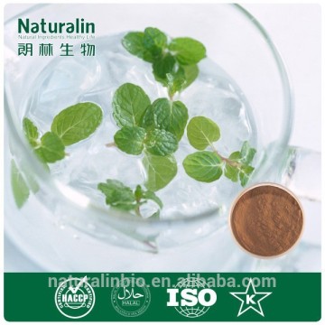 peppermint extract/Relieve intestinal colic/treat ulcerative of bowel