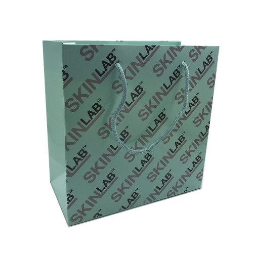 Custom design paper craft packaging bag