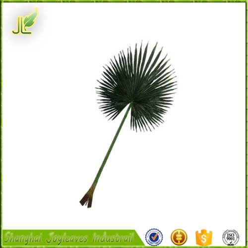 dry outdoor tropical artificial palm tree leaves