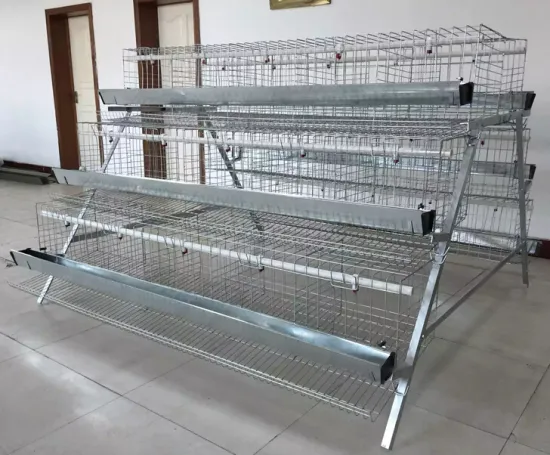 South Africa best sale galvanized layer chicken cage