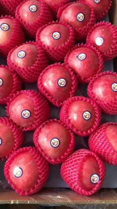 Chinese fresh fruit crispy fresh apple fruit Fuji apple