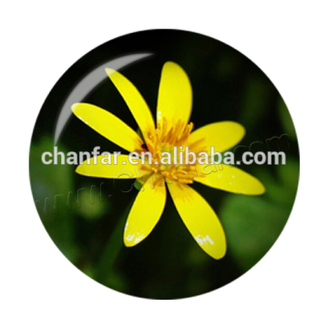 New arrival flower pattern glass round snap button jewelry ,12mm,18mm are all workable for us