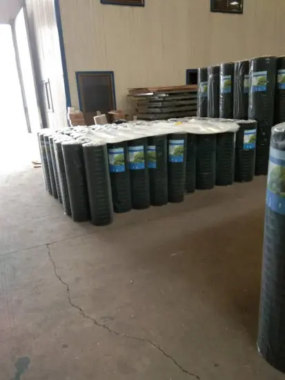Hot dipped galvanized welded wire mesh before PVC coated
