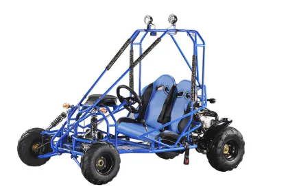 4 Wheeler Gas Electric Go Kart Buggy For Farm , Go Kart Kits Kd 49fm5-e