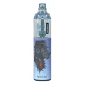 Randm Tornado 7000 Puffs Großhandel Bulk Order