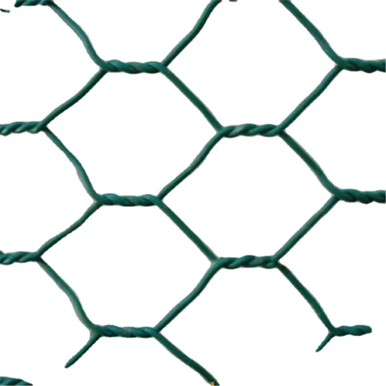 Hexagonal Wire Mesh/Netting for Chicken Wire Galvanized