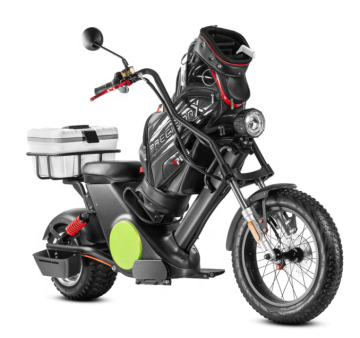 EU/USA Warehouse Golf M6G 2000W Elektrischer Fettreifen Roller