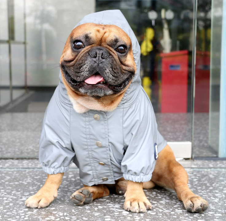 Lightweight Dog Raincoat Hooded Jacket