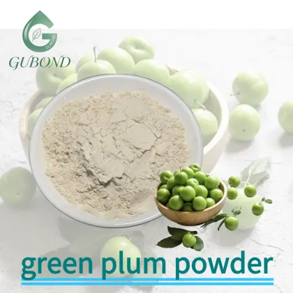 Green Plum Spray Dried Fruit Powder