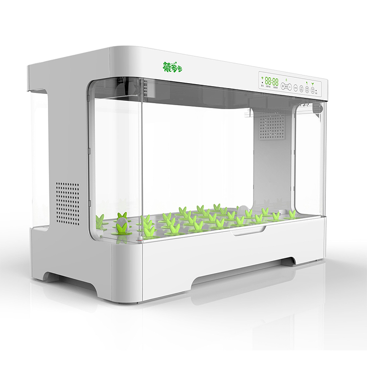 Hydroponic Kit 3