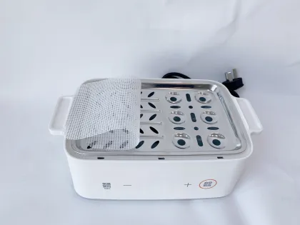 New Digital Electric Steamer Egg Steamer - Cook Smart, Eat Healthy