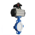 Vacuum Ductile Iron Stainless Steel Butterfly Valve