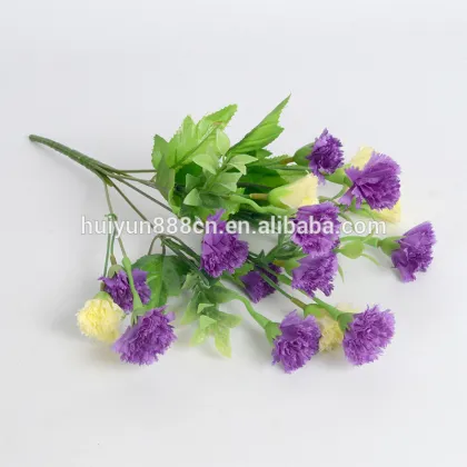 Wholesale high quality fresh cut flowers Carnation flowers for wedding