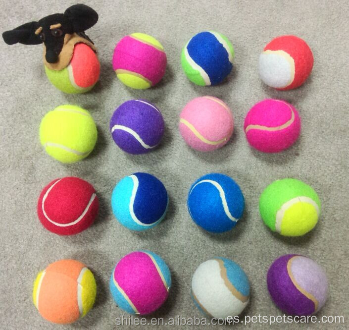 Soporte extraíble para pelotas de tenis para perros Juguete masticable para perros