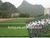 55mm Double stem artificial grass for football field