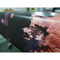Rust digital printing PVC automobile film