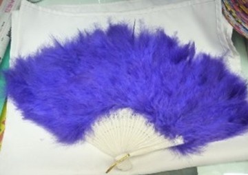 feather fan