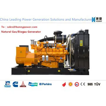 USA Googol Natural Gas Generator set Made in China