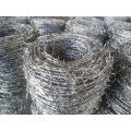 BWG14 BWG14 Hot Dipped Galvanized Barb Wire