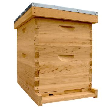 Bee Hive Super Brood bees Box - Unassembled Langstroth bee hive body henan supplliers