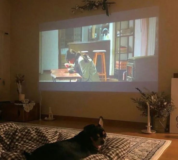 home theater projector reddit