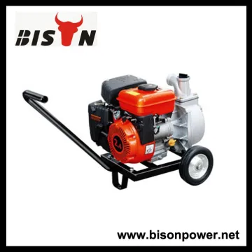 BISON(CHINA) Factory Price water pressure pump, irrigation water pump, water pump 12 volt