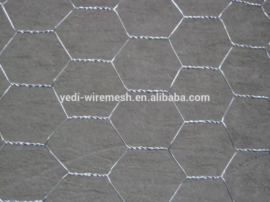 china chicken galvanized hexagonal wire mesh