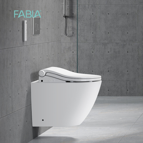 Modern Design Multifunctional Wall Automatic Toilet