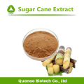 Sugar Cane Extract 10:1 Sugar Cane Juice Powder