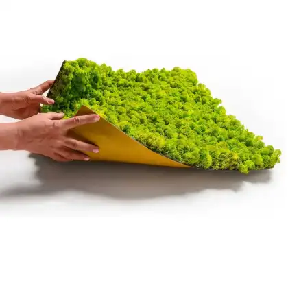 Real Iceland Moss Wholesale Moss Plate 30x30cm for Moss Art Panels