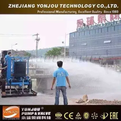 Self Priming Dewatering Pump For Mining Industry