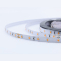 DC24V 2835SMD Striscia di colore rosa 300led