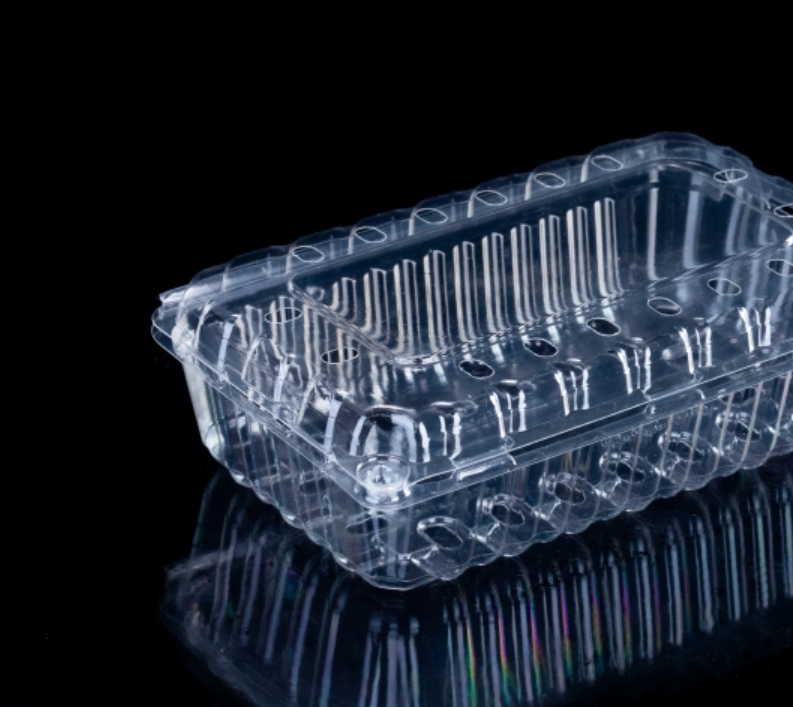 Fruit Plastic Packaging Box