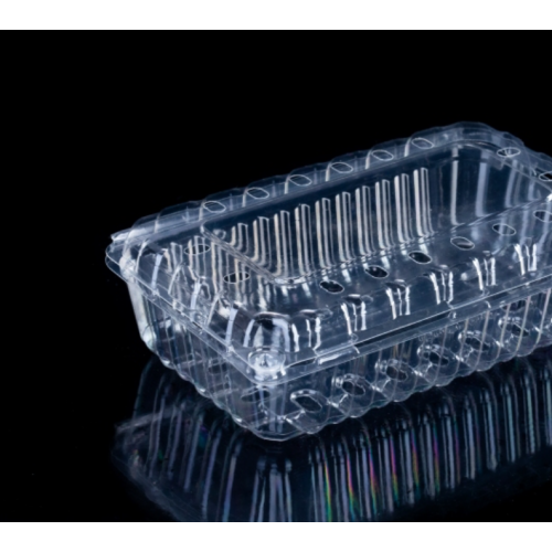 Fruit Plastic Packaging Box