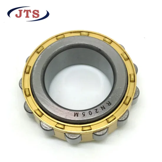 Cylindrical Roller Bearings with Brass Nylon Cage RN Series