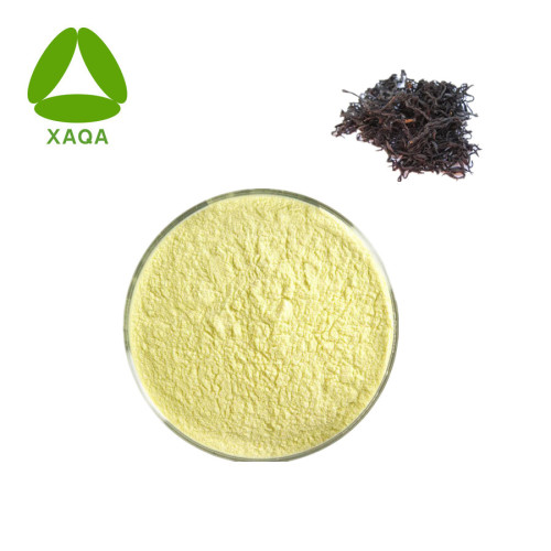 Sargassum Japans zeewier -extract fucoxanthine 50%