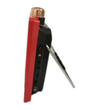 Portable video dvd player