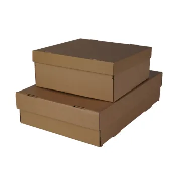 Custom Shoes Packaging Box with Logo - Wholesale Shoe Boxes