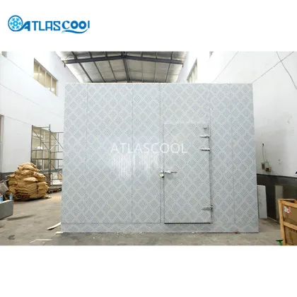 Best Ice Cream Chill Blast Freezer Room