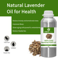 Good quality natural radix stemonae oil of bulk price