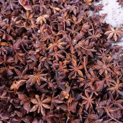 Affordable High-Quality Dried Star Anise: The Perfect Spice Addition for Your Kitchen