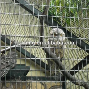 welded wire mesh fence panels in 6 gauge.