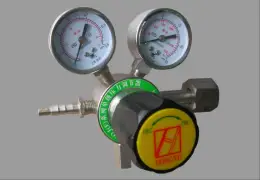 stainless steel single stage pressure regulator